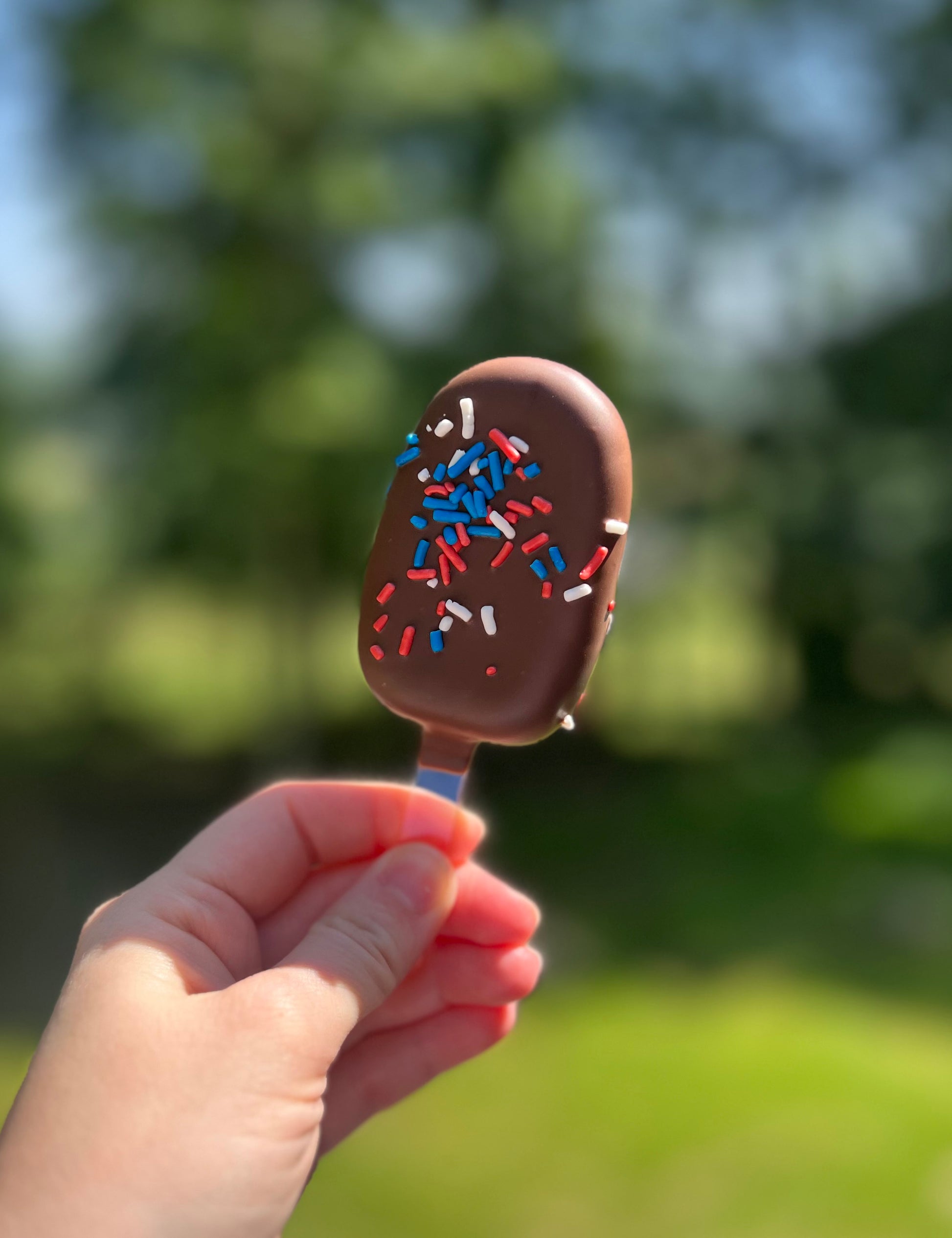 Cosmic Brownie Cake Pop - Dream Upon A Design, LLC.